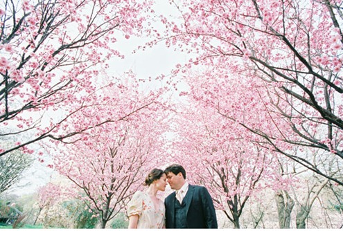 cherry-blossoms-spring-film-wedding2[1]
